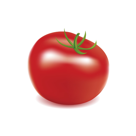 one tomatoのイラスト素材