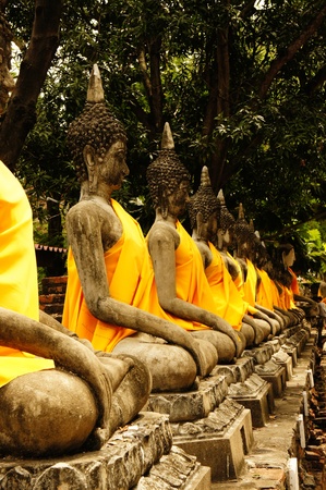 buddha, arranged in rows. orderlyの写真素材