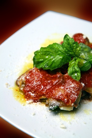 italian parmigianaの写真素材