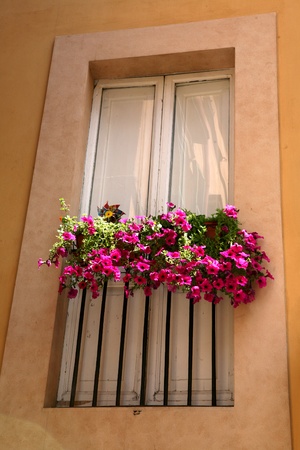 flower balconyの写真素材