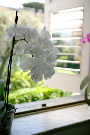 window viewの写真素材