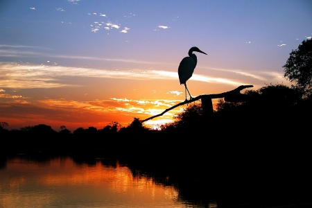 sunsetの写真素材