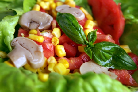 saladの写真素材