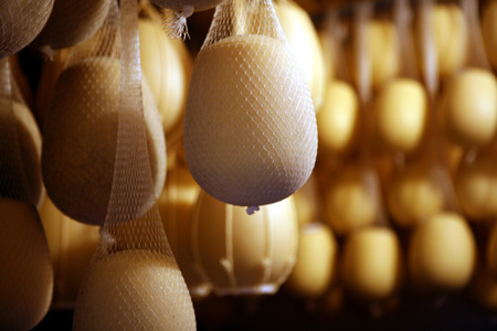 ripened cheeseの写真素材