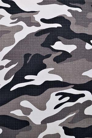 Camouflage fabric in a vertical orientationの写真素材