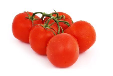 bunch of tomatoes on a white backgroundの写真素材