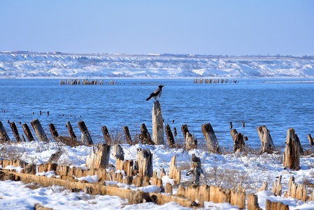 bird sitting on a pole against the riverの写真素材