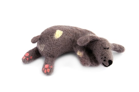 soft toy dog on a white backgroundの写真素材