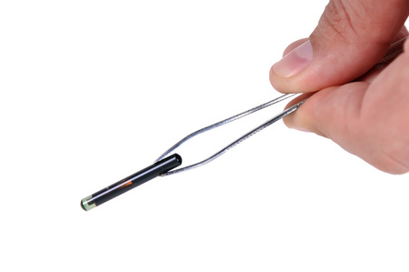 hand holding animal implant on tweezers  on white backgroundの写真素材