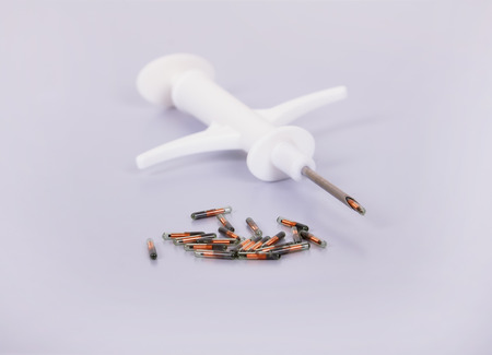 Syringe for introduction of chip and animal id
