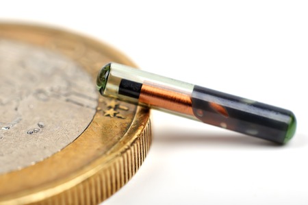 Euro cent near animal implants for comparison, close upの写真素材