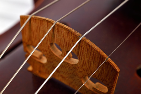 View on violin strings and violin body, Close up