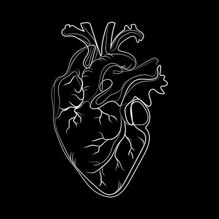 Doodle anatomical heart line art abstract drawing,vector illustration isolated on black background.Silhouette of human heart white line drawing for healthcare design.Sign,logo emblem,printのイラスト素材