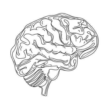Human Brain hand-drawn icon of human internal organs vector illustration.Brain Line art drawing.Sketch style.Design concept for your medical projects post,tattoos,emblem,logo,printのイラスト素材