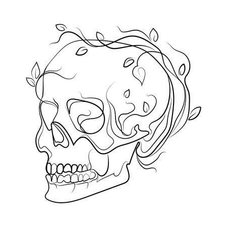 Skull with growing flowers,leaves and plants Line art drawing,Abstract vector illustration.Surreal fantasy idea.Human skull sketch drawing for t-shirt print,tattoo,emblem,logo.Halloween design elemenのイラスト素材