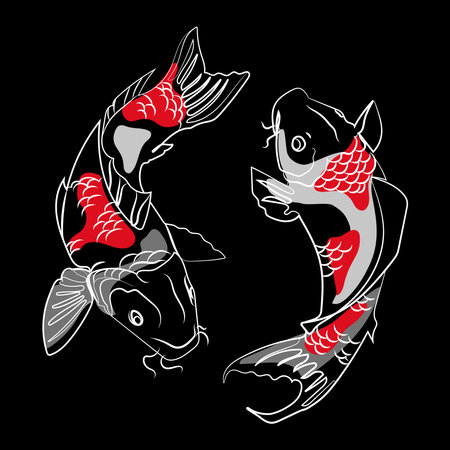 Two Japanese koi carp fishes line drawing, with red and gray abstract shapes and Minimal art design, on black background Vector illustration.Designs for T-shirts,Tattoos,Stickers,Logo or Postersのイラスト素材