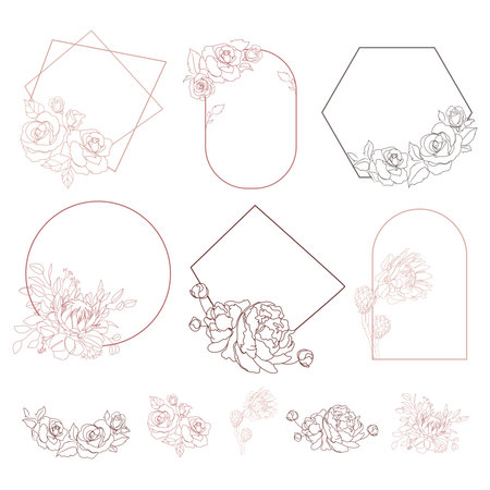 Hand drawn floral frames with, roses and peonies,protea. Floral elements are isolated for use. Vectorのイラスト素材