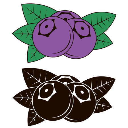 Blueberries in two versions color and blackのイラスト素材