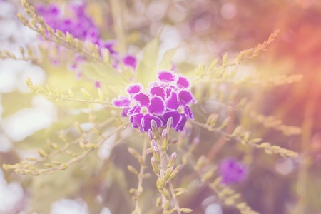 Blurred bokeh wallpaper `の素材