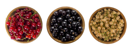 Set of different colored currants isolated on white background cut out. White, red and black currant...