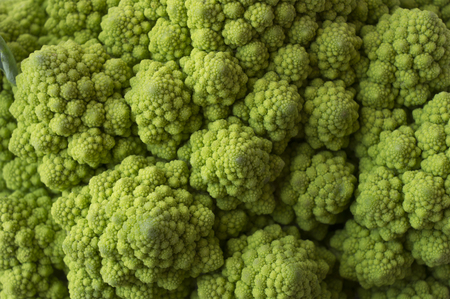 Roman cauliflower close up. Fractal Texture of Romanesco broccoli.の写真素材