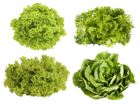 Collage of lettuce. Fresh green lettuce isolated on white background. Set of different foreshortening.の写真素材
