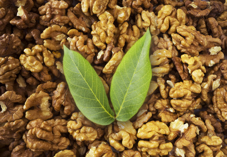 Walnuts background. Kernels walnuts. Top view. Vegetarian or healthy eating.の写真素材