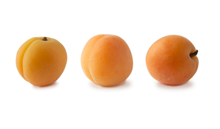 Set of apricots isolated on white background. Ripe apricots with copy space for text.の写真素材
