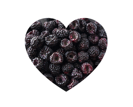 Blackberries in heart shape isolated on a white. Fresh blackberry background. Texture blackberry...