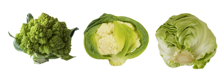 Different kinds of cabbage. Broccoli, cauliflower and cabbage isolated on white background. with copy space for text. Ð¡abbage with copy space for text. Green food on a white background. Green vegetables isolated on a white. Collage of different vegetables at green color. The best vegetables for dinner.の写真素材