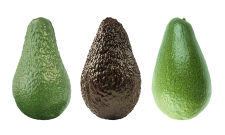 Three avocados isolated. Isolated avocado. Cut avocado fruit isolated on white background. Avocado...