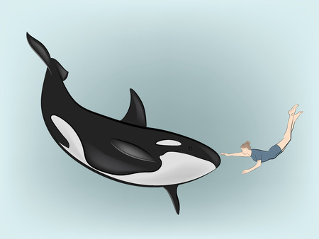 woman under the water touches the killer whale. vector illustration.のイラスト素材