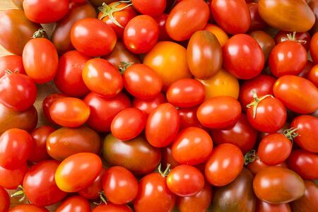 Red tomatoes background. Top view. Fresh organic tomatoes as background, closeup. Group of fresh tomatoesの写真素材