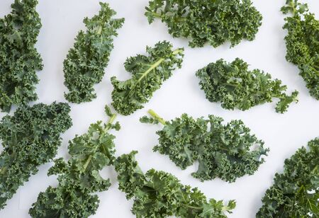 Kale leaves on white background. Top view. Kale leaves with copy space for text. Background of kale leaves. Kale on white background.の写真素材