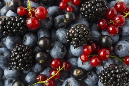 Texture berries close up. Top view. Black-blue and red berries. Ripe blueberries, blackberries and...