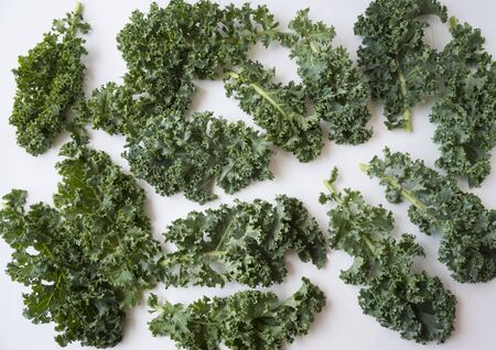 Kale leaves on white background. Top view. Kale leaves with copy space for text. Background of kale leaves. Kale on white background.の写真素材