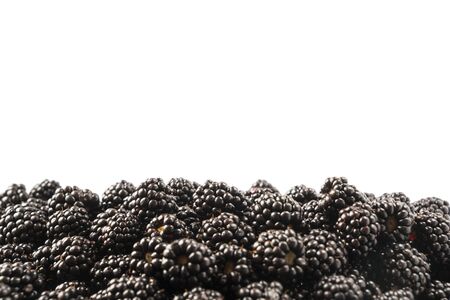 Top view. Ripe blackberries on white background. Berries at border of image with copy space for text. Ripe blackberry close-up. Sweet and juicy berry. Heap of blackberries on white. Black food.の写真素材