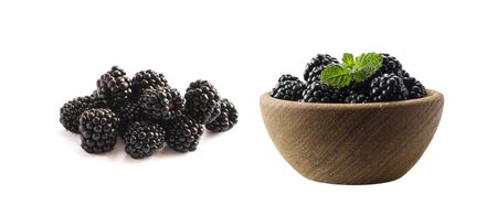 Blackberries isolated on white background. Blackberries with copy space for text. Set of blackberries from different angles. Sweet and juicy berry. Heap of blackberries on white background. Black berry.の写真素材