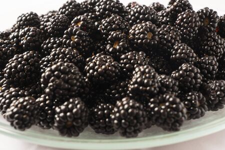 Fresh blackberry background. Texture blackberry berries close-up. Ripe berry background. Fresh blackberries background. Top view. Berries background.の写真素材