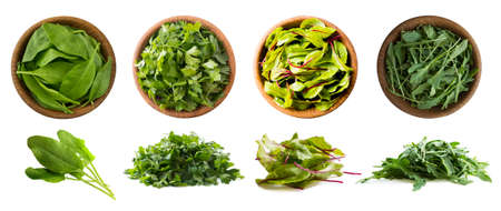 Leafy vegetables isolated on white. Spinach leaves, parsley, swiss chard (mangold or beet leafs),...