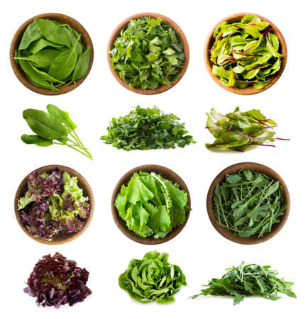 Leafy vegetables isolated on white. Spinach leaves, parsley, swiss chard (mangold or beet leafs), lettuce, arugula. Vegetables with copy space for text. Top view. Studio photo. Fresh leafy vegetables isolate.の写真素材