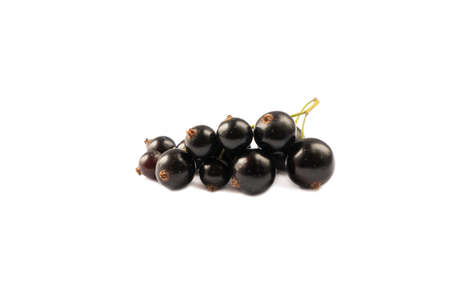 Black berries on white. Blackcurrants isolated on white background. Blackcurrant isolate. Blackcurrants isolated on white background. Immunity system improvement.の写真素材