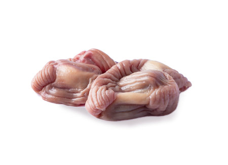 Raw chicken stomachs isolated on white background. Raw chicken stomachs, Fresh offal, close-up,...