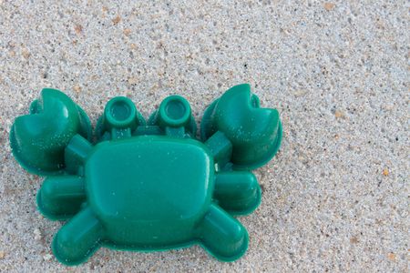 Crab on the beachの写真素材