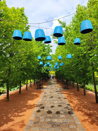 Hanging light bulbs on alley. Landscaping in the parkの写真素材