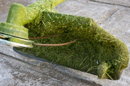 Grass trimmer after work with plant residuesの写真素材