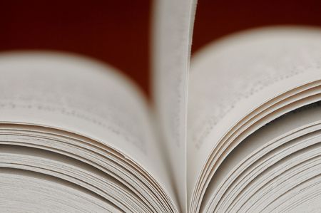 Pages of a novel