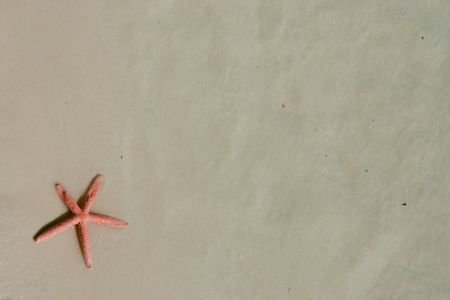 Starfish