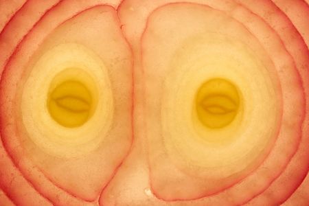 Red Onion