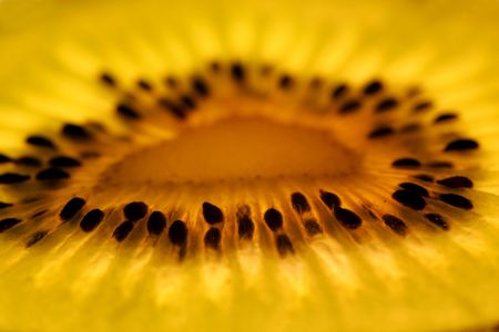 Kiwifruitの写真素材